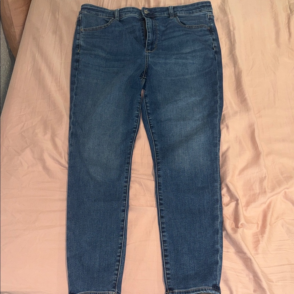American Eagle Outfitters Blue Skinny Jeggings